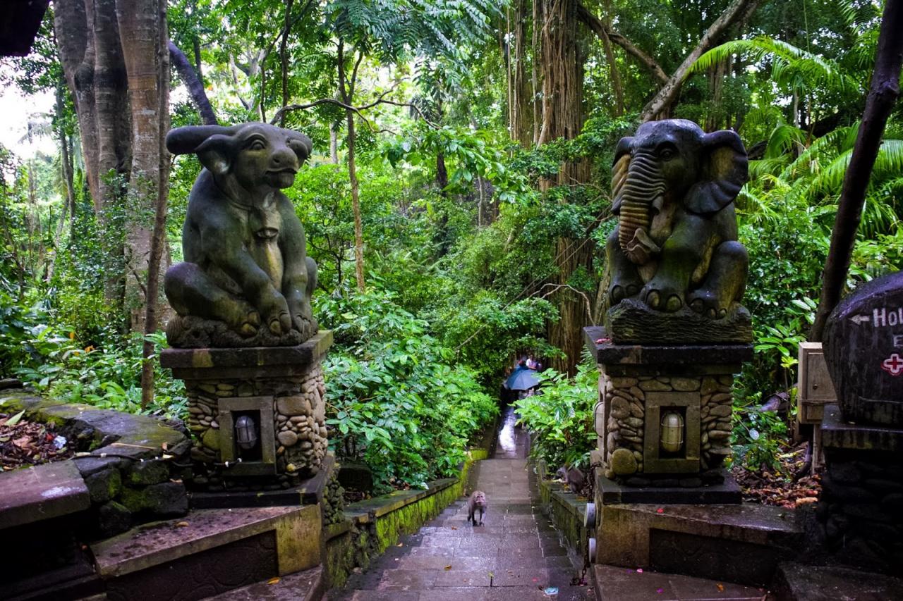 Monkey Forest Ubud