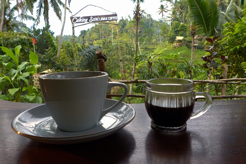 Kopi khas Bali