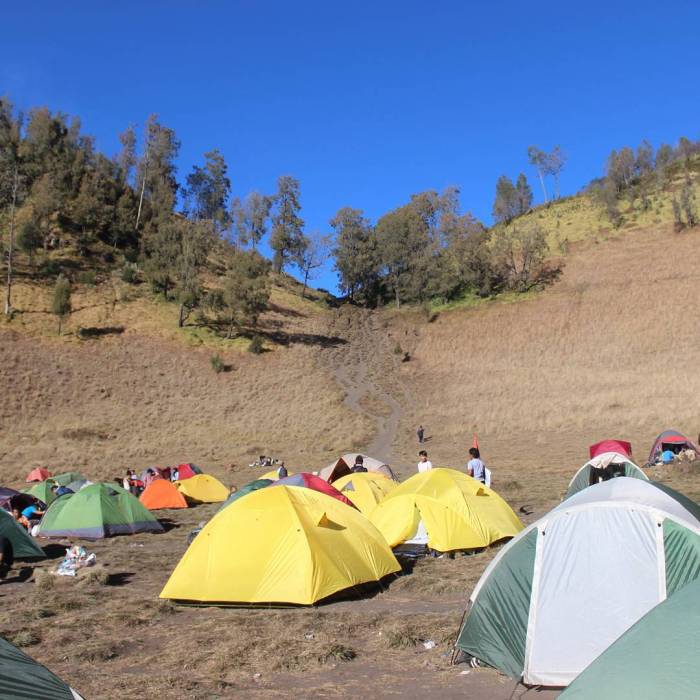 Bukit Cinta Ranu Kumbolo terbaru