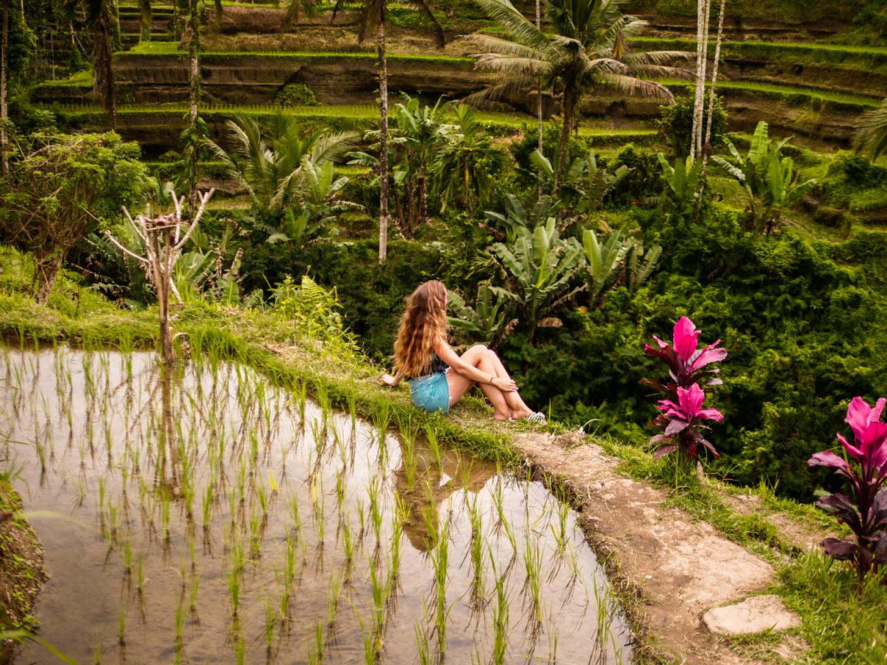 Tempat foto instagramable di Bali dengan pemandangan sawah hijau