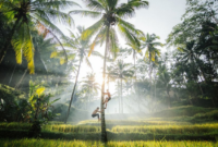 Lokasi pemotretan dengan view pura dan alam Bali yang asri