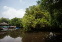 Taman Wisata Mangrove Jakarta hits