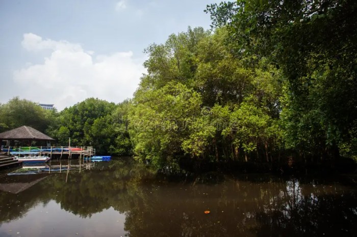 Taman Wisata Mangrove Jakarta hits