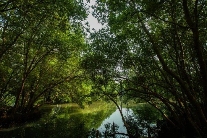 Taman Wisata Mangrove Jakarta hits