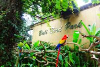 Bali Bird Park