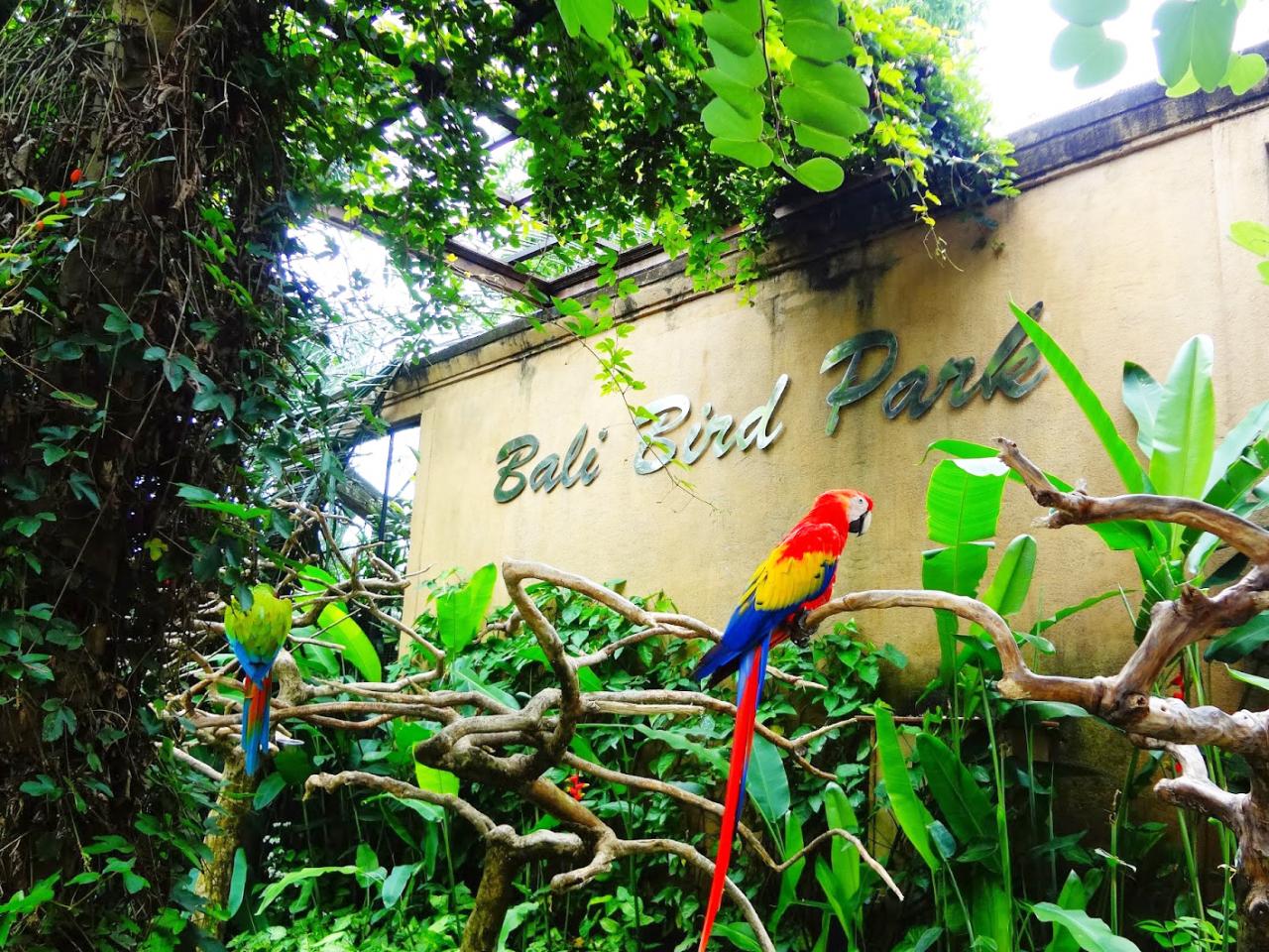 Bali Bird Park