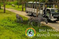 Bali Safari & Marine Park