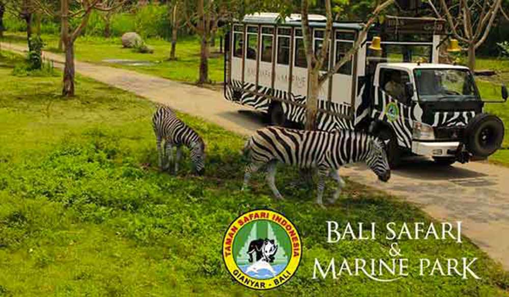 Bali Safari & Marine Park