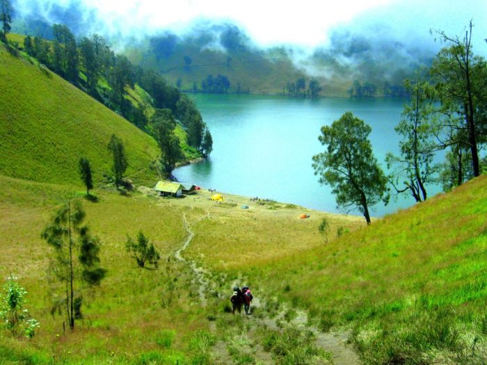 Bukit Cinta Ranu Kumbolo terbaru