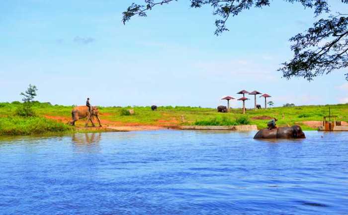 Kambas way national park